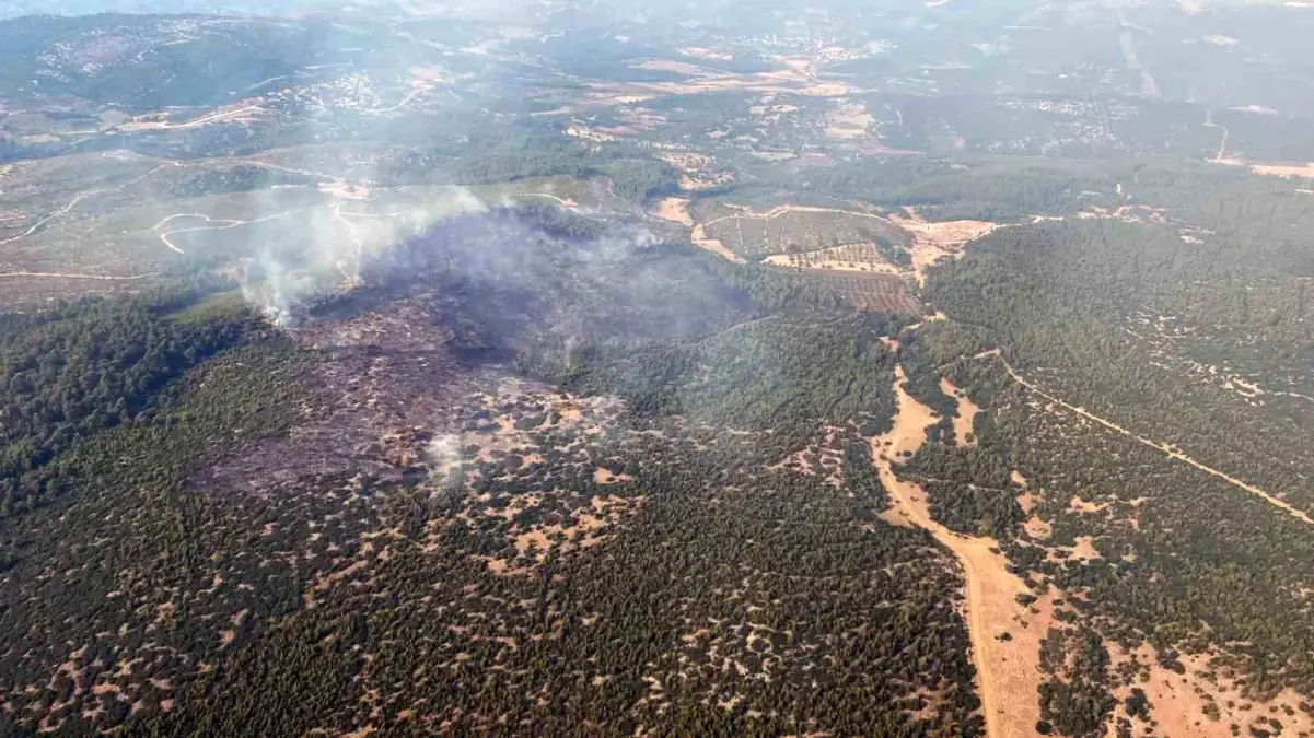 Muğla'da Orman Yangını Kontrol Altına Alındı