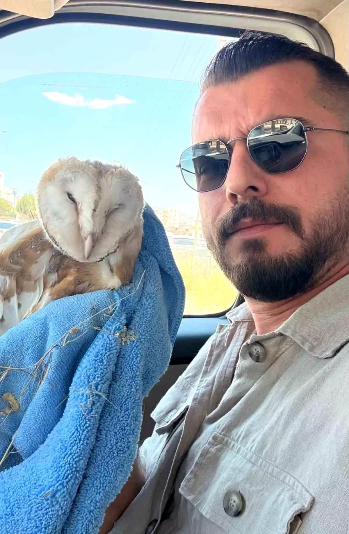 Duyarlı Vatandaş, Bitkin Haldeki Baykuşu Kurtardı