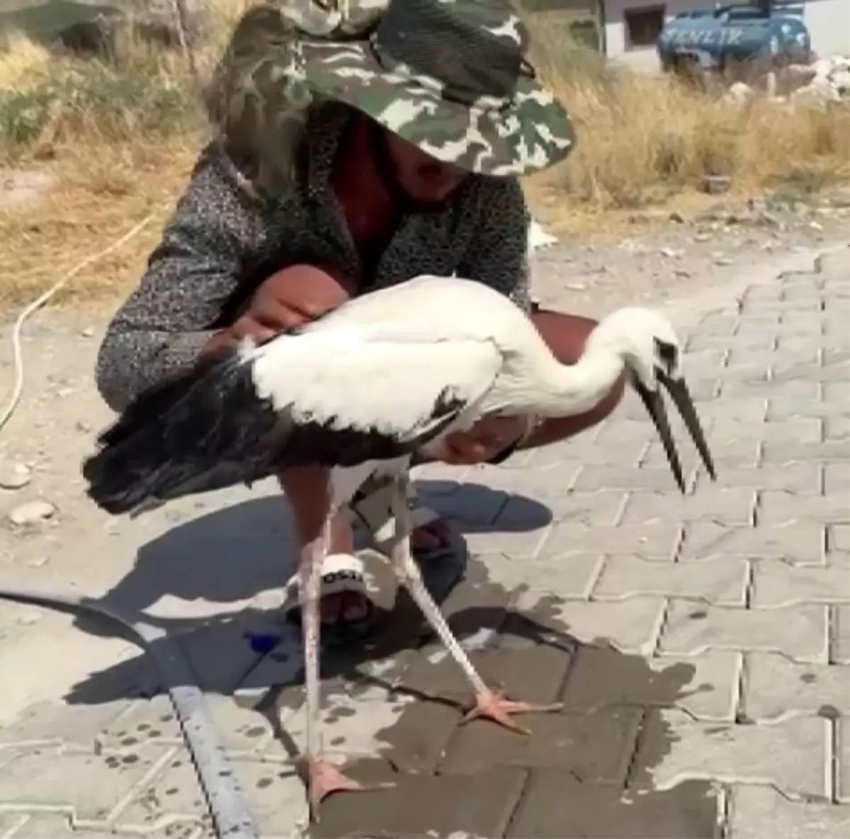Adıyaman'da Sıcak Havadan Etkilenen Leylek Kurtarıldı