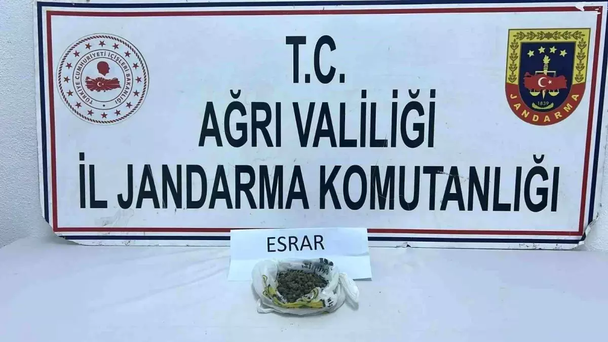 Ağrı'da Uyuşturucu Operasyonları: 511 Kök Kenevir ve 50 Gram Esrar Ele Geçirildi