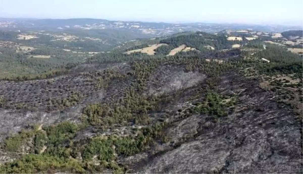 Balıkesir'de Yangın Havadan Görüntülendi