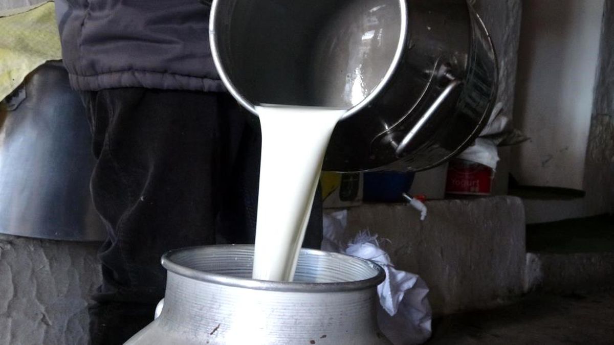 Ulusal Süt Konseyi'nden Çiğ Süt Fiyatı Açıklaması