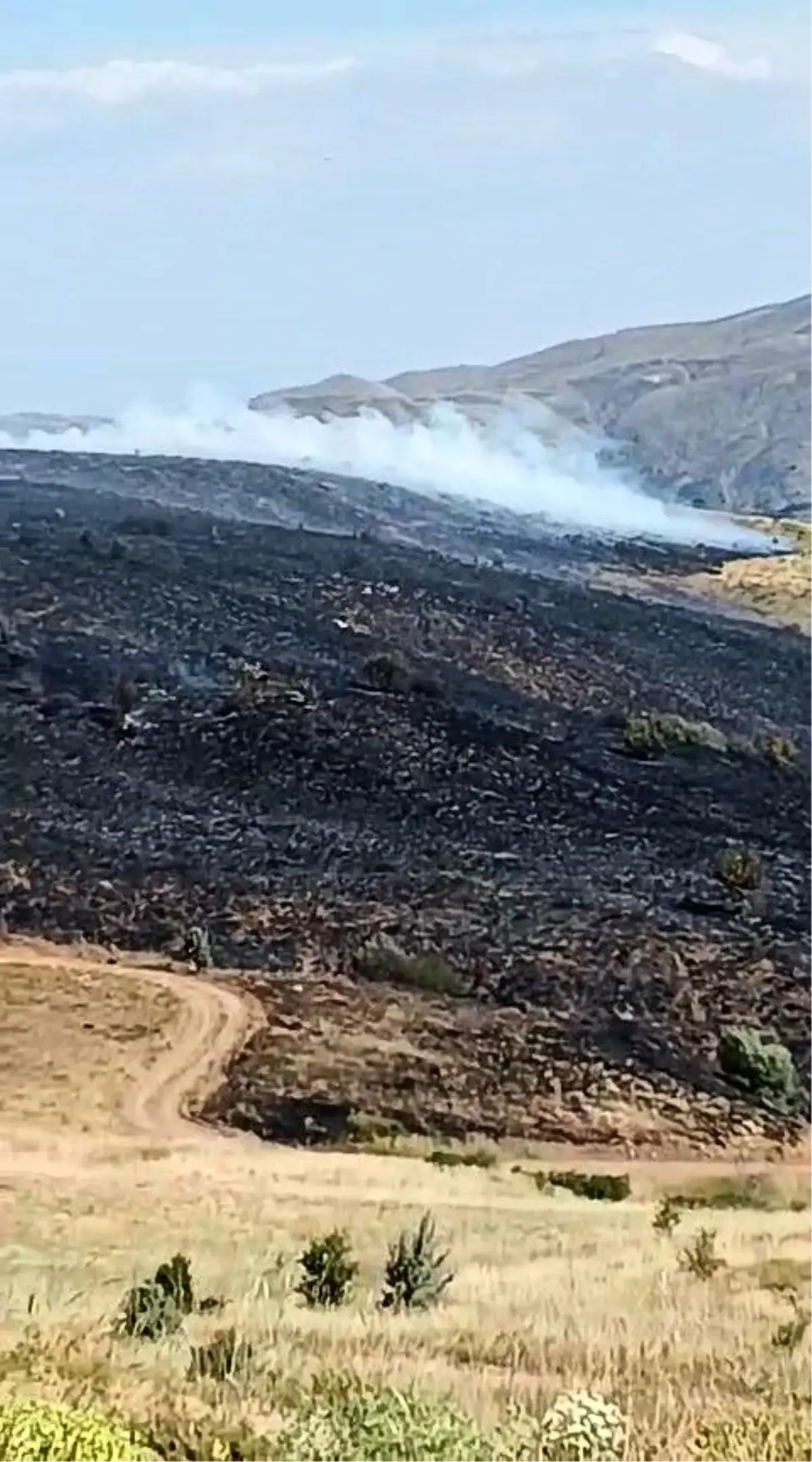Elazığ'da Arazide Yangın: Müdahaleler Devam Ediyor