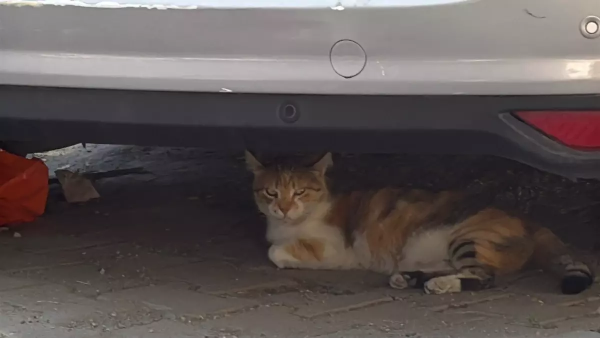 Kağıthane'de Balkon Çöktü, Olay Kayıt Altına Alındı
