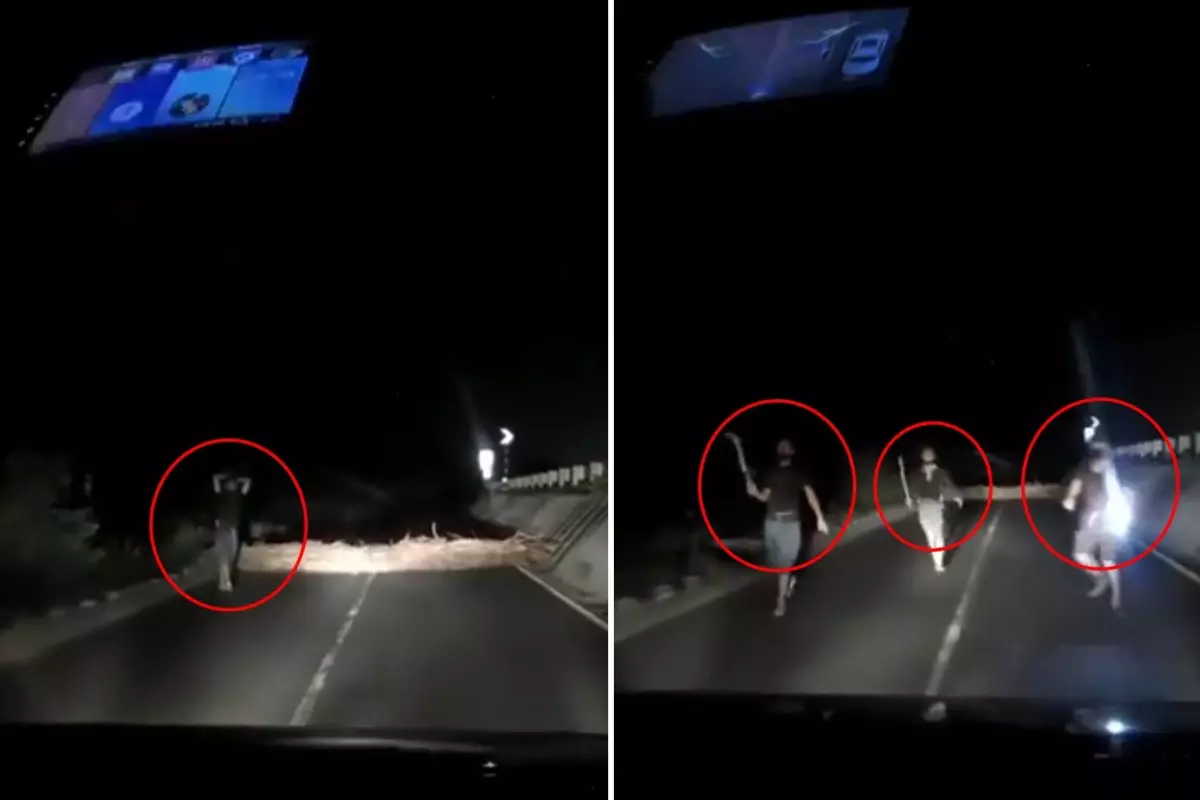 Korku filmlerini andıran görüntü! Aniden yola fırladılar, sürücü geri manevra yaparak kurtuldu