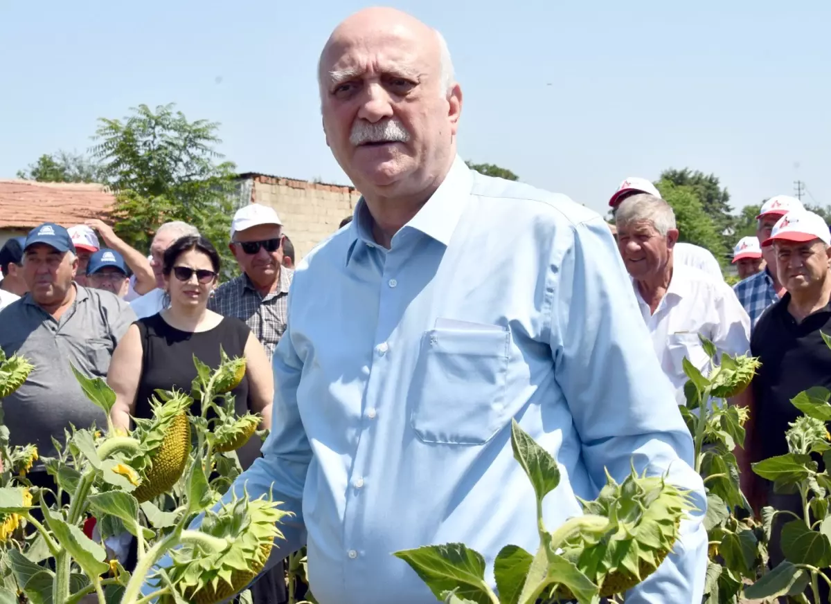 TZOB Başkanı Bayraktar: Ayçiçeği Üretimi Kuraklıktan Olumsuz Etkilendi