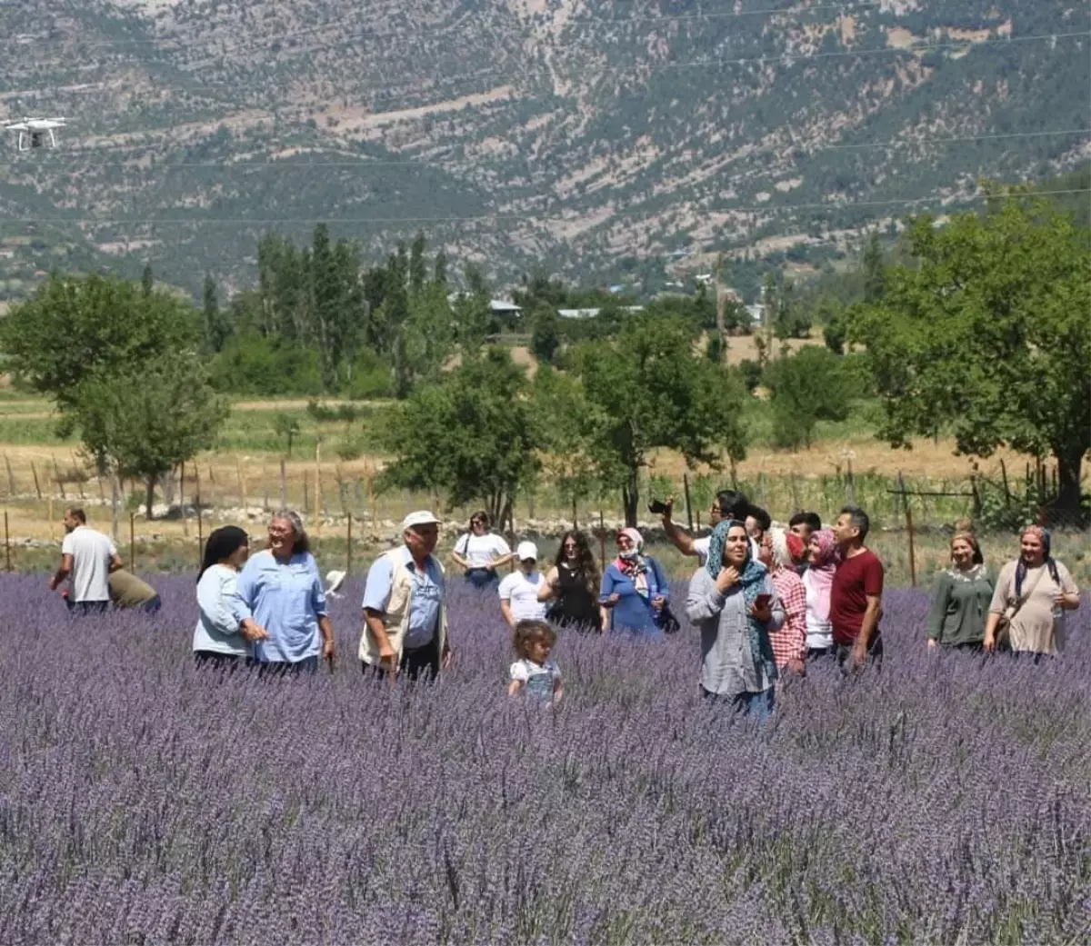Adana'nın Lavanta Tarlaları Turizm Cenneti Oluyor