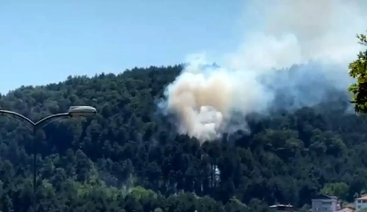 Zonguldak'ta Ormanlık Alanda Yangın Kontrollü Olarak Söndürüldü