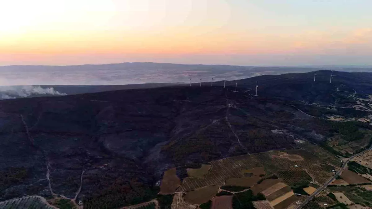 Tekirdağ'da Tarım Arazisinde Çıkan Yangın Kontrol Altına Alındı
