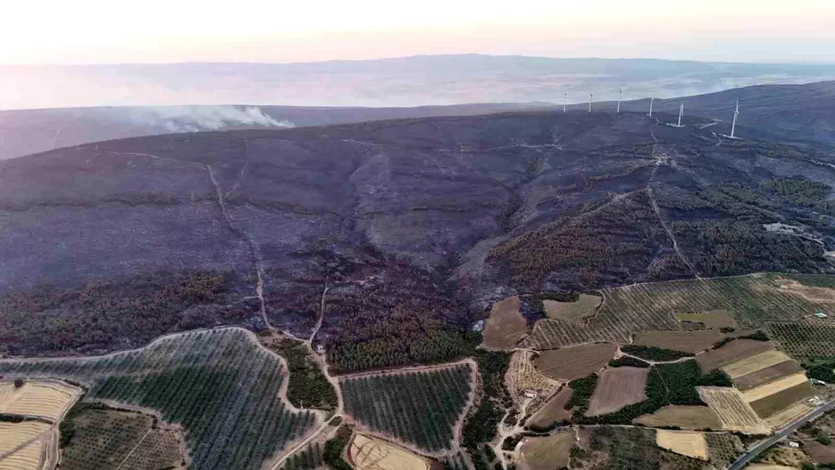 Tekirdağ'daki Orman Yangını Kontrol Altına Alındı