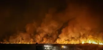 ŞARKÖY YANGINI SON DAKİKA! Tekirdağ Şarköy orman yangını neden çıktı, son durum ne?