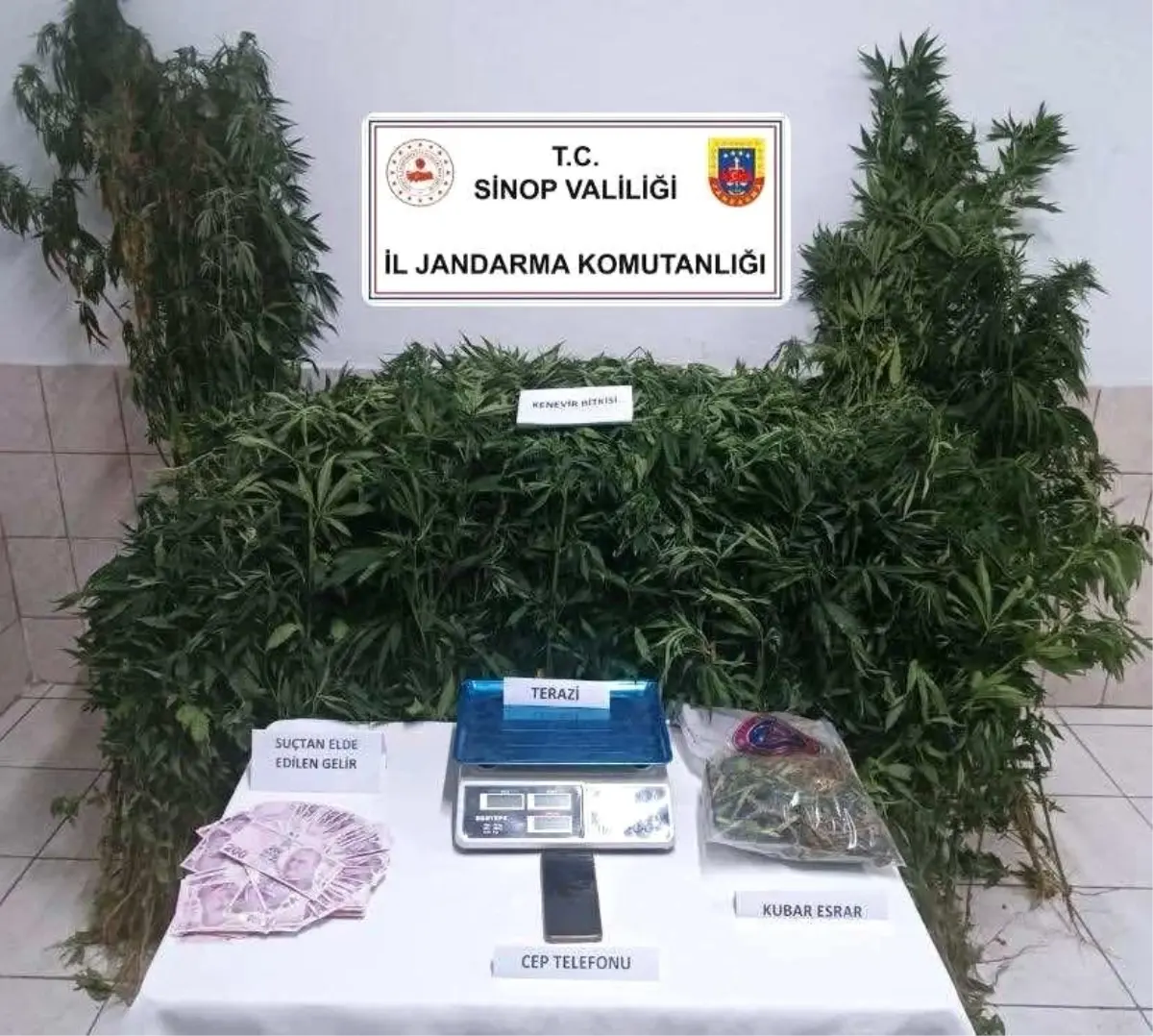 Sinop'ta Uyuşturucu Operasyonu: 2 Gözaltı, 1 Tutuklama