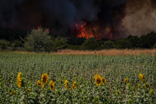 The forest fire that has been ongoing for 42 hours in Tekirdağ has been partially brought under control