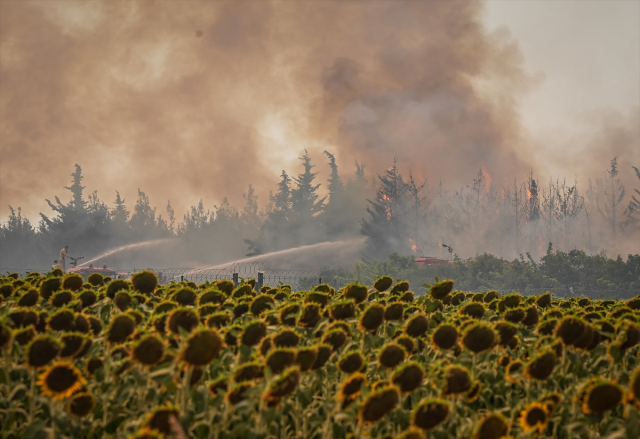 The forest fire that has been ongoing for 42 hours in Tekirdağ has been partially brought under control