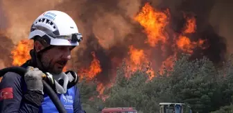 Tekirdağ'da 42 saattir süren orman yangını kısmen kontrol altına alındı
