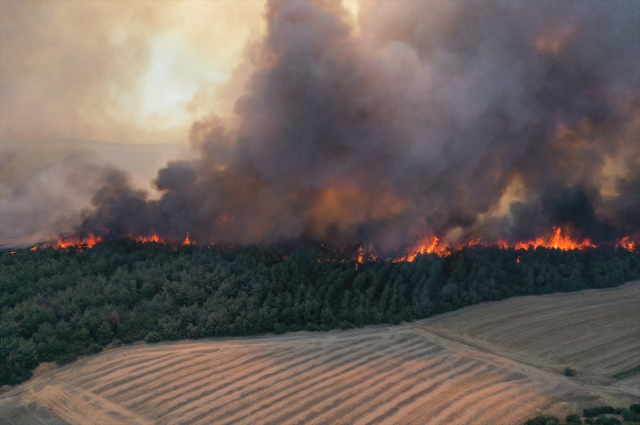The forest fire that has been ongoing for 42 hours in Tekirdağ has been partially brought under control