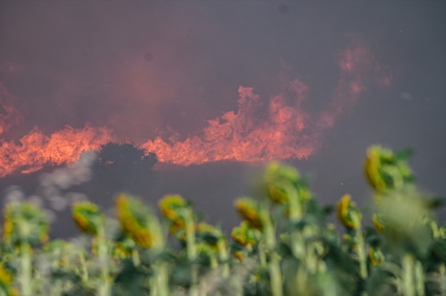 The forest fire that has been ongoing for 42 hours in Tekirdağ has been partially brought under control