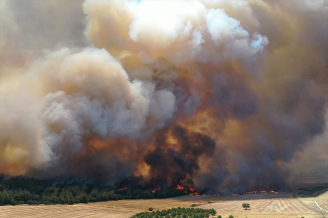 The forest fire that has been ongoing for 42 hours in Tekirdağ has been partially brought under control