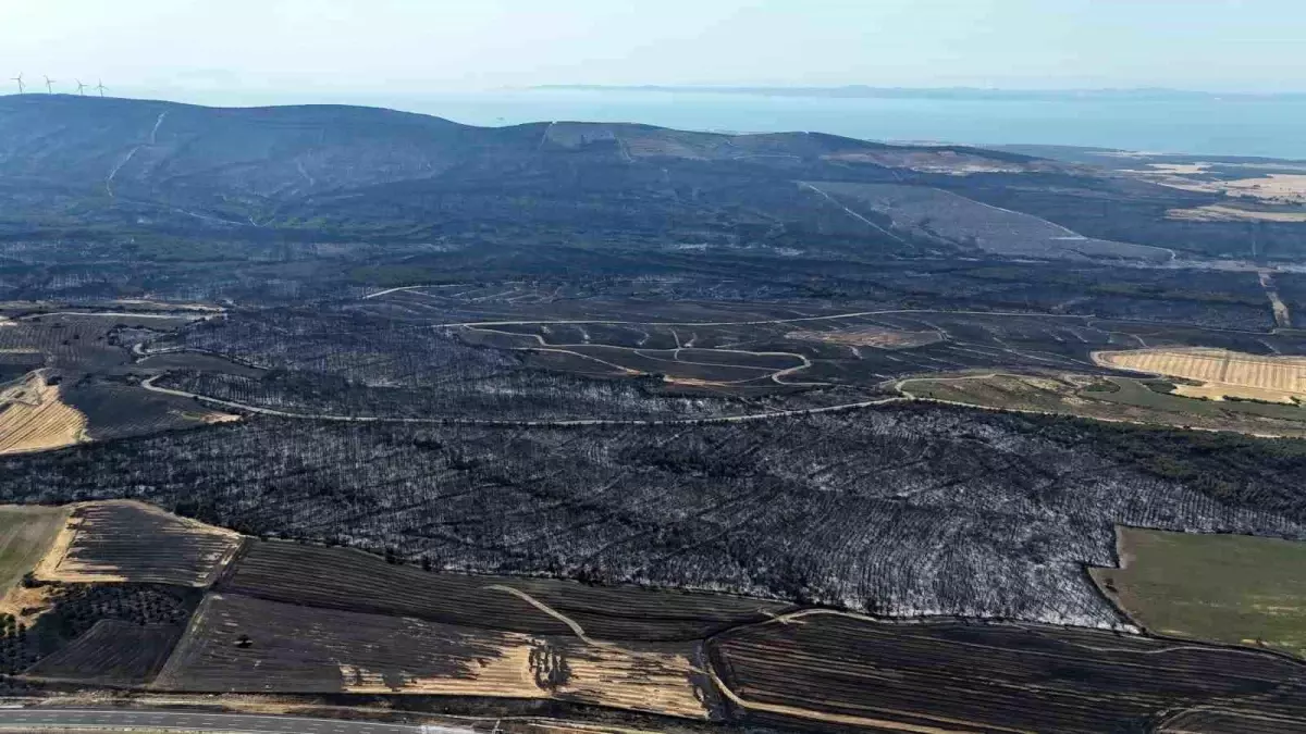 Tekirdağ'daki Yangın Gelibolu'ya Sıçradı