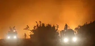Tekirdağ Şarköy orman yangınında son durum ne? 17 Temmuz 2025 Şarköy yangını söndü mü?