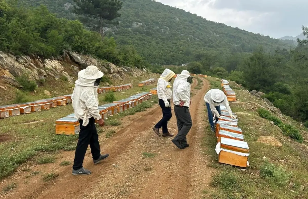 Adıyaman'da 2025 Yılı İçin Bal Fiyatları Belirlenmiştir