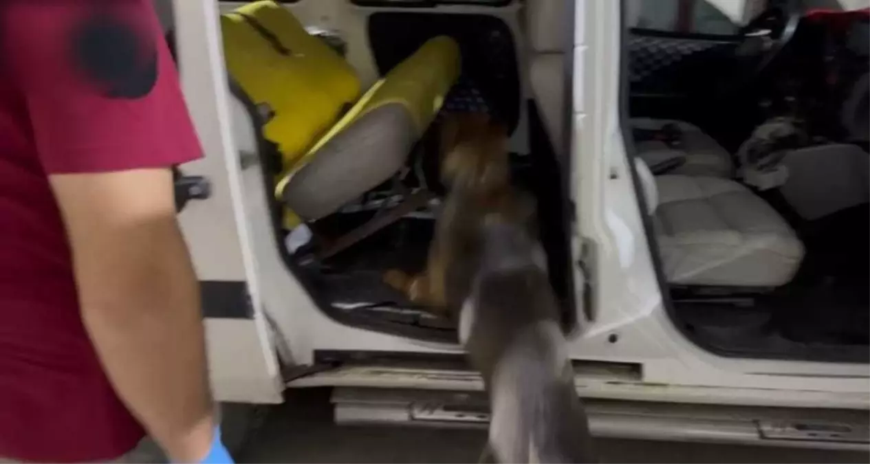 Batman'da 20 Kilo Esrar Ele Ge geçirildi