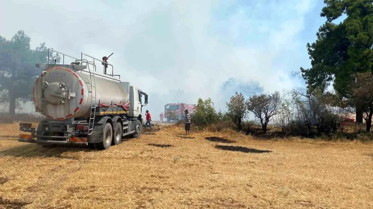 Çanakkale'de Orman Yangını Kontrol Altına Alındı