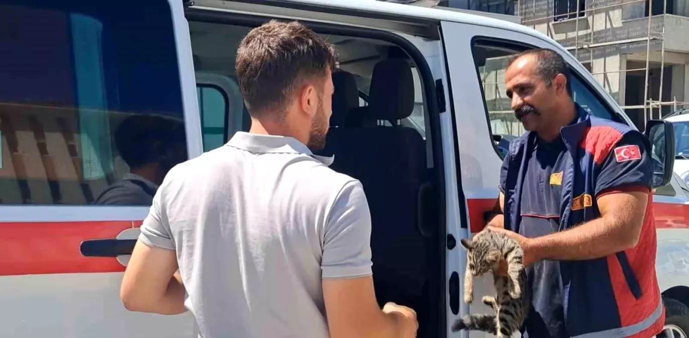 Erzincan'da Sıkışan Kedi İtfaiye Ekipleri Tarafından Kurtarıldı
