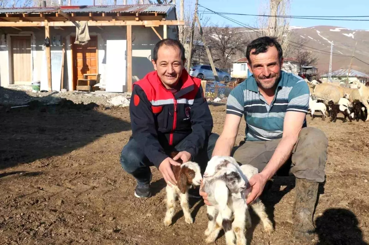 Erzincan'da Koyunculuk Projesine Kredi Desteği Arttırıldı