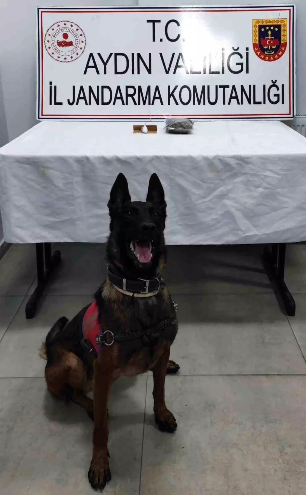 Germencik'te Uyuşturucu Operasyonu: İki Şahıs Yakalandı
