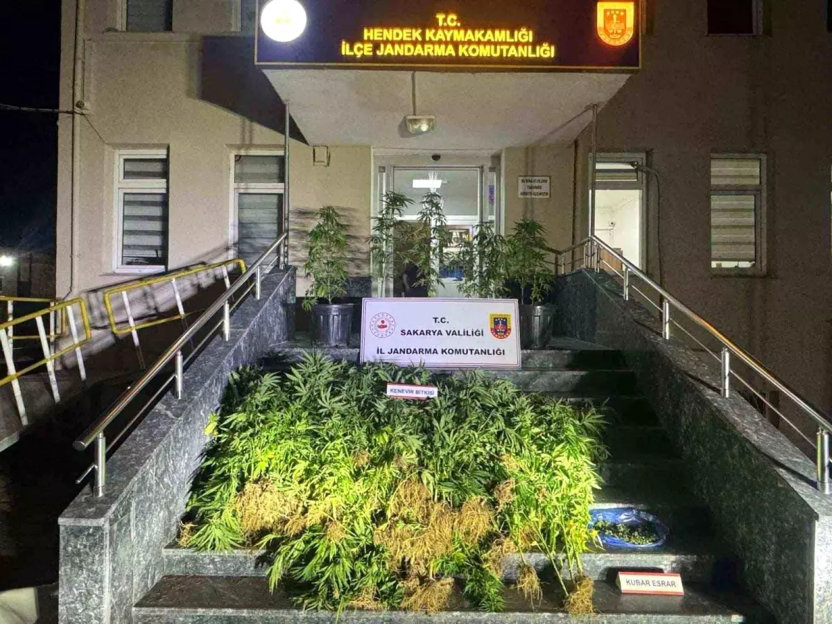 Sakarya'da Uyuşturucu Operasyonu: 9 Gözaltı, 1 Tutuklama