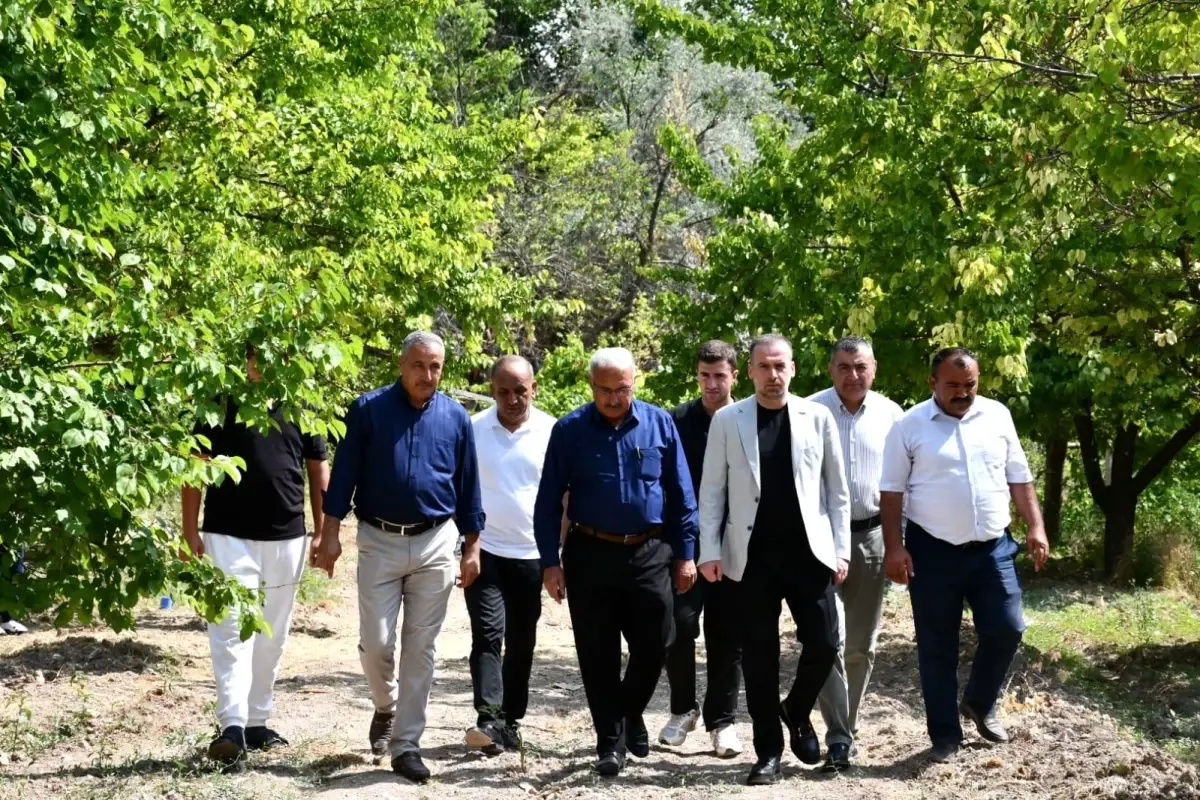 Malatya'da Don Felaketi Kayısı Üreticilerini Zorluyor