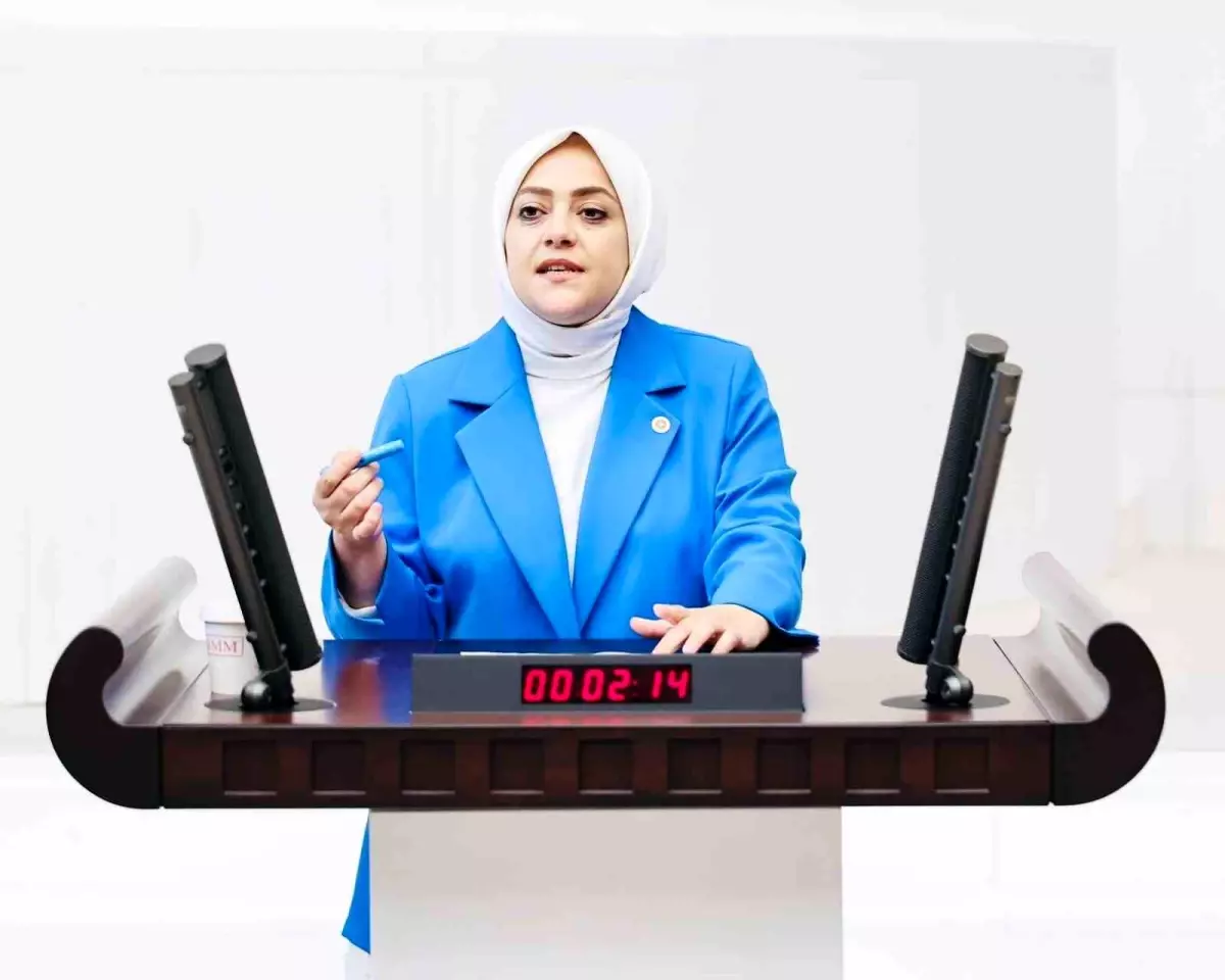 Sema Silkin Ün'den Şimşek'e Sert Eleştiri
