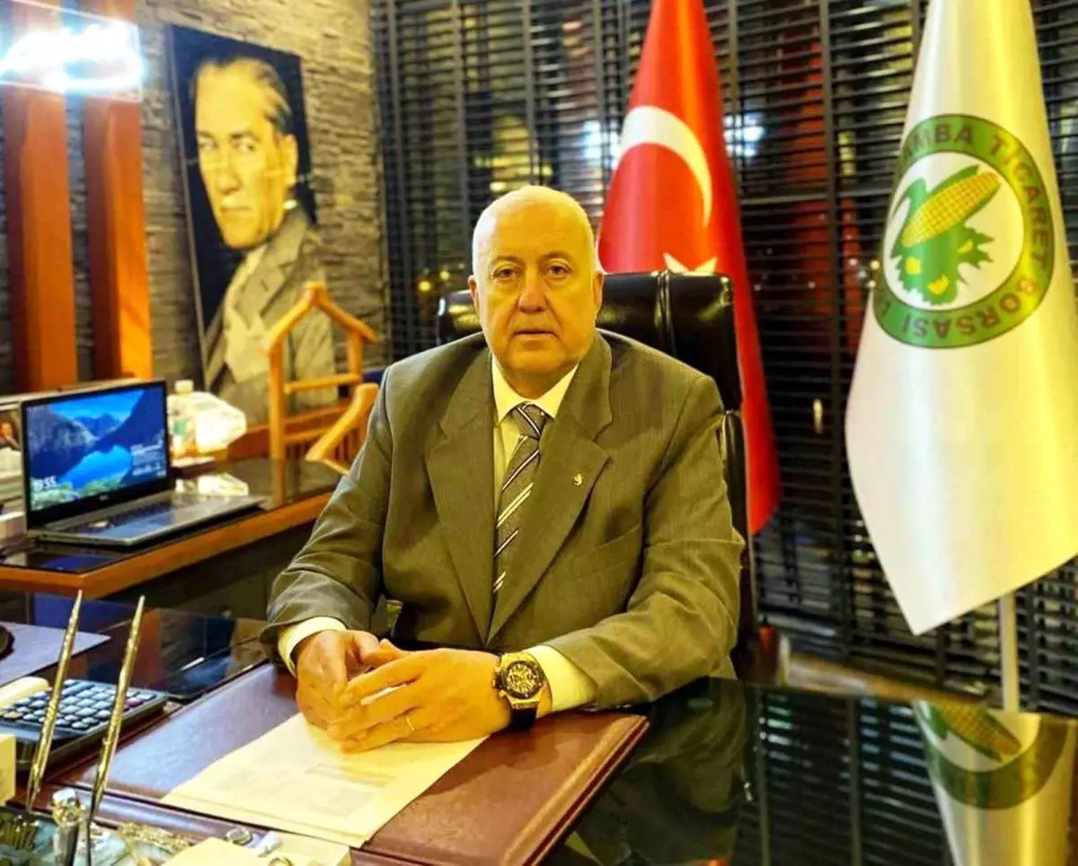 Samsun'un 2025 Fındık Rekolte Tahmini 91 Bin 456 Ton Olarak Belirlendi