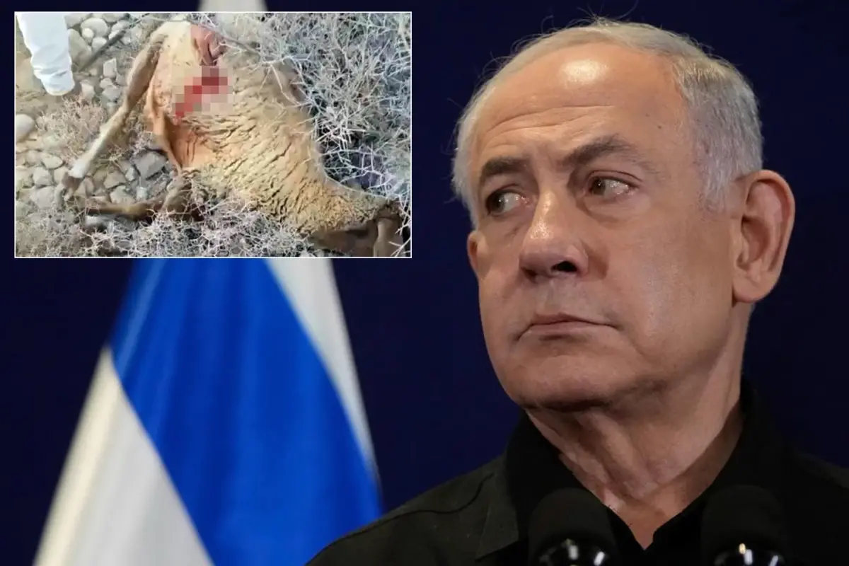 Sözün bittiği yer! Netanyahu'nun son vahşeti