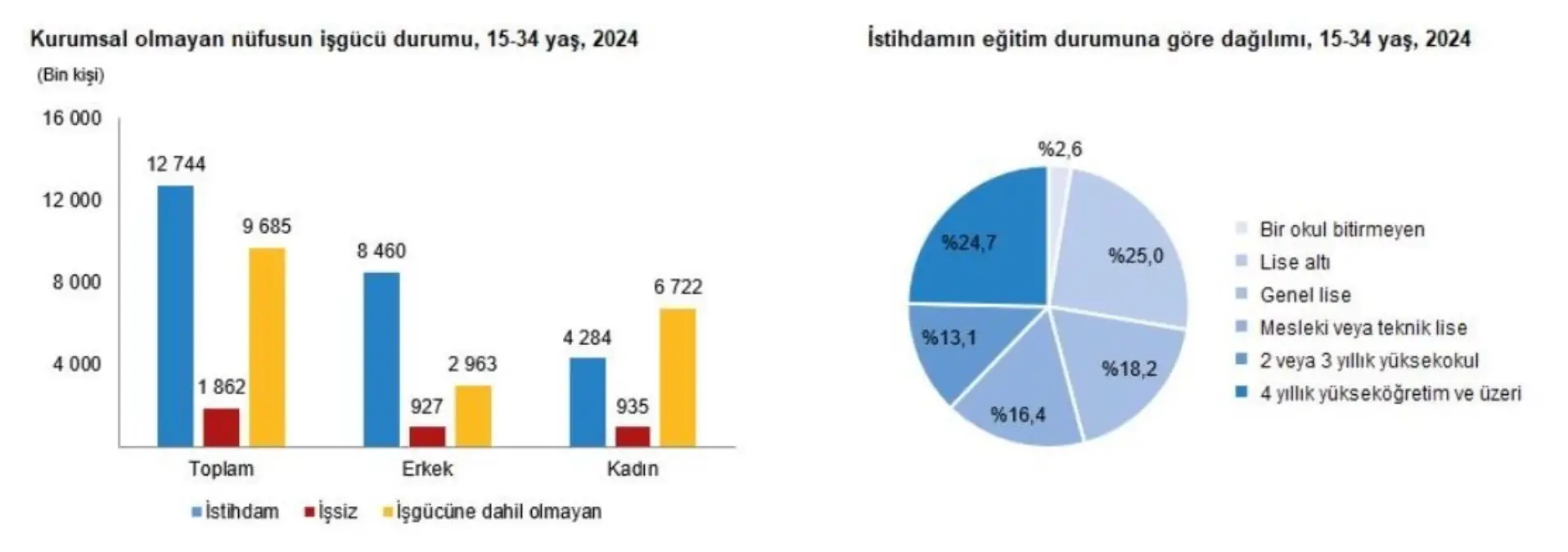 TÜİK, Gençlerin İş Gücü Piyasasındaki Durumunu Açıkladı