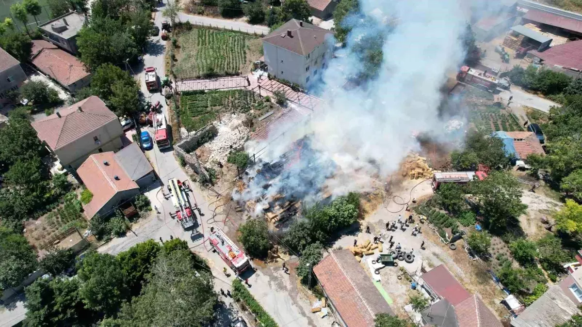 İstanbul'da Saman Balyalarında Yangın: Çiftçiye Maddi Zarar