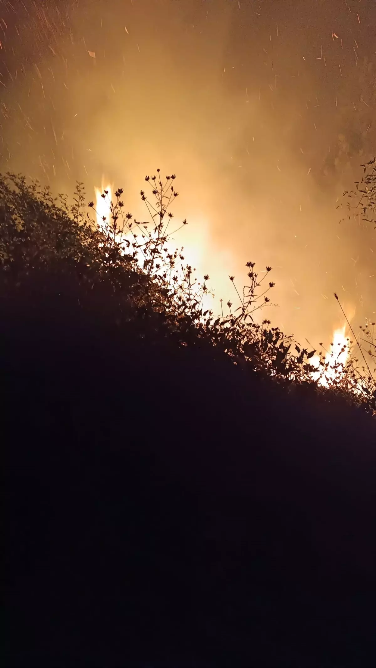 Mudurnu'da Yangın Kontrol Altına Alındı