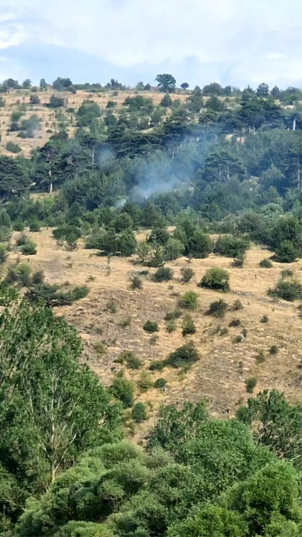 Bolu'da Yıldırım Düşmesi Sonucu İki Ayrı Yangın Kontrol Altına Alındı