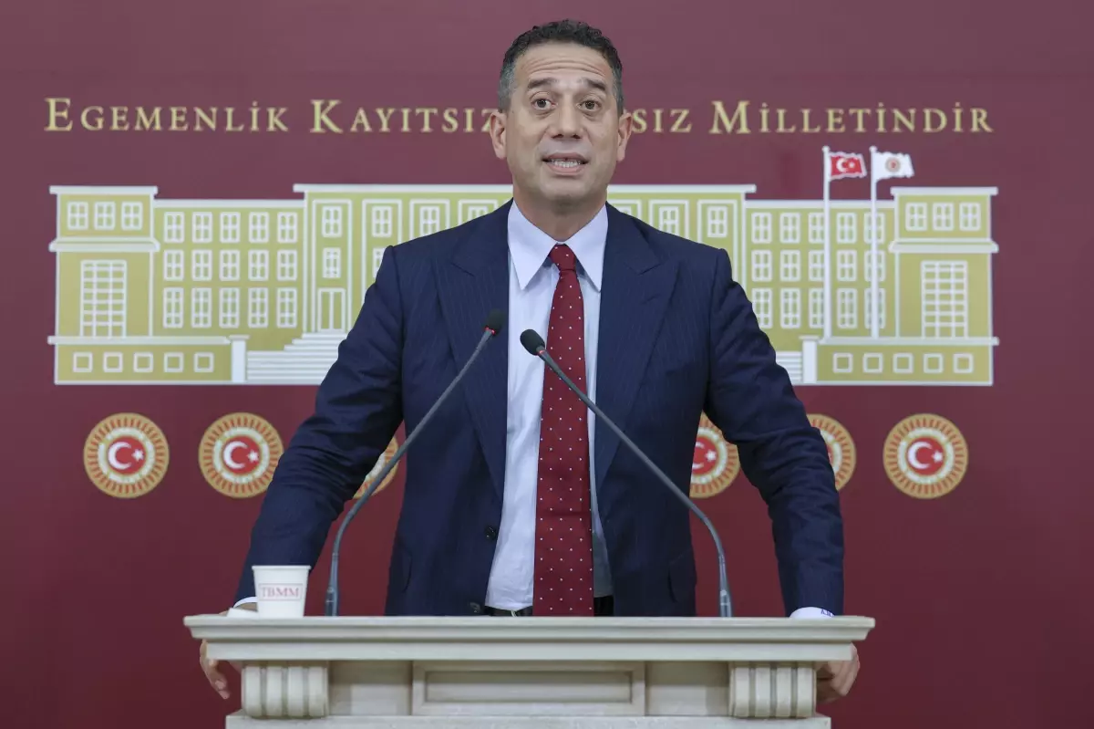 CHP'li Başarır: Zeytin ve Tarım Alanları Talan Ediliyor