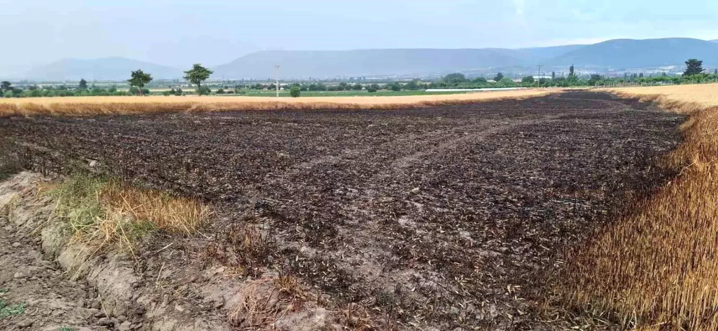 Yıldırımın Neden Olduğu Yangında Çiftçi Emeğini Kurtardı
