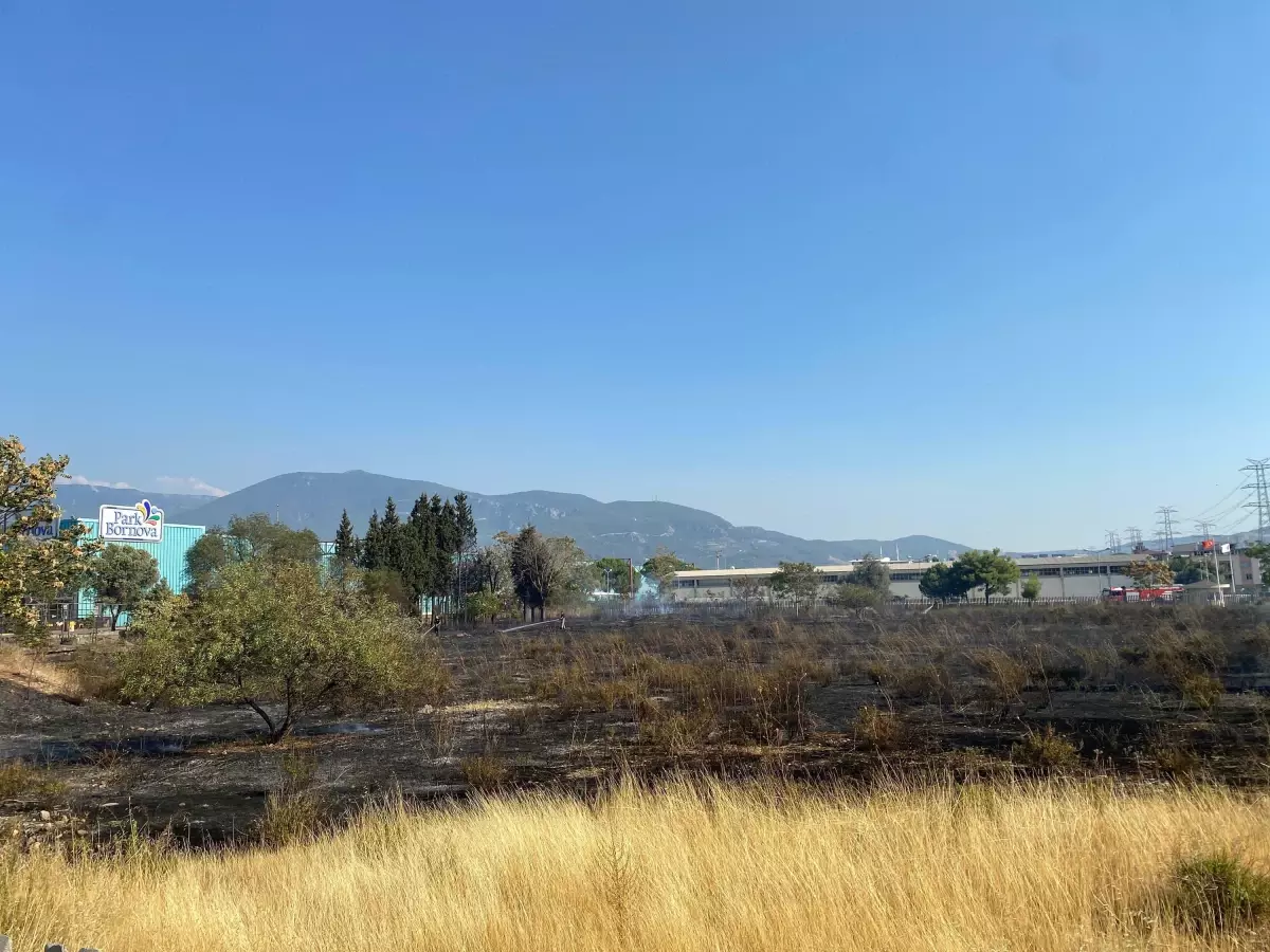İzmir'de AVM Otoparkında Yangın: İki Araç Hasar Gördü