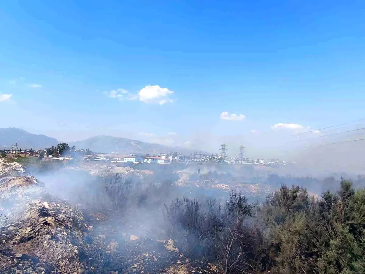 Aydın'da Kanal Kenarındaki Yangın Kontrol Altına Alındı