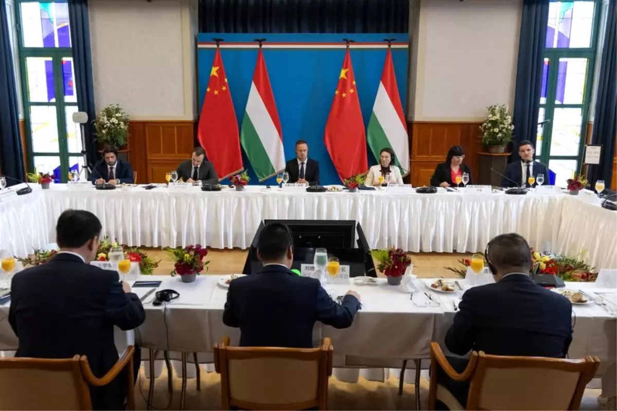 Macaristan, Çin Yatırımlarıyla Ekonomisini Güçlendiriyor