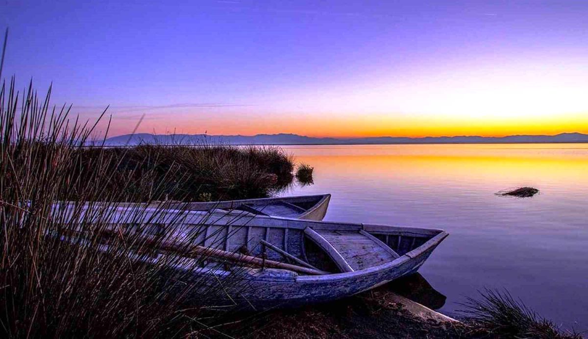 Samsun'da Av Pulundan Yüksek Gelir Elde Edildi
