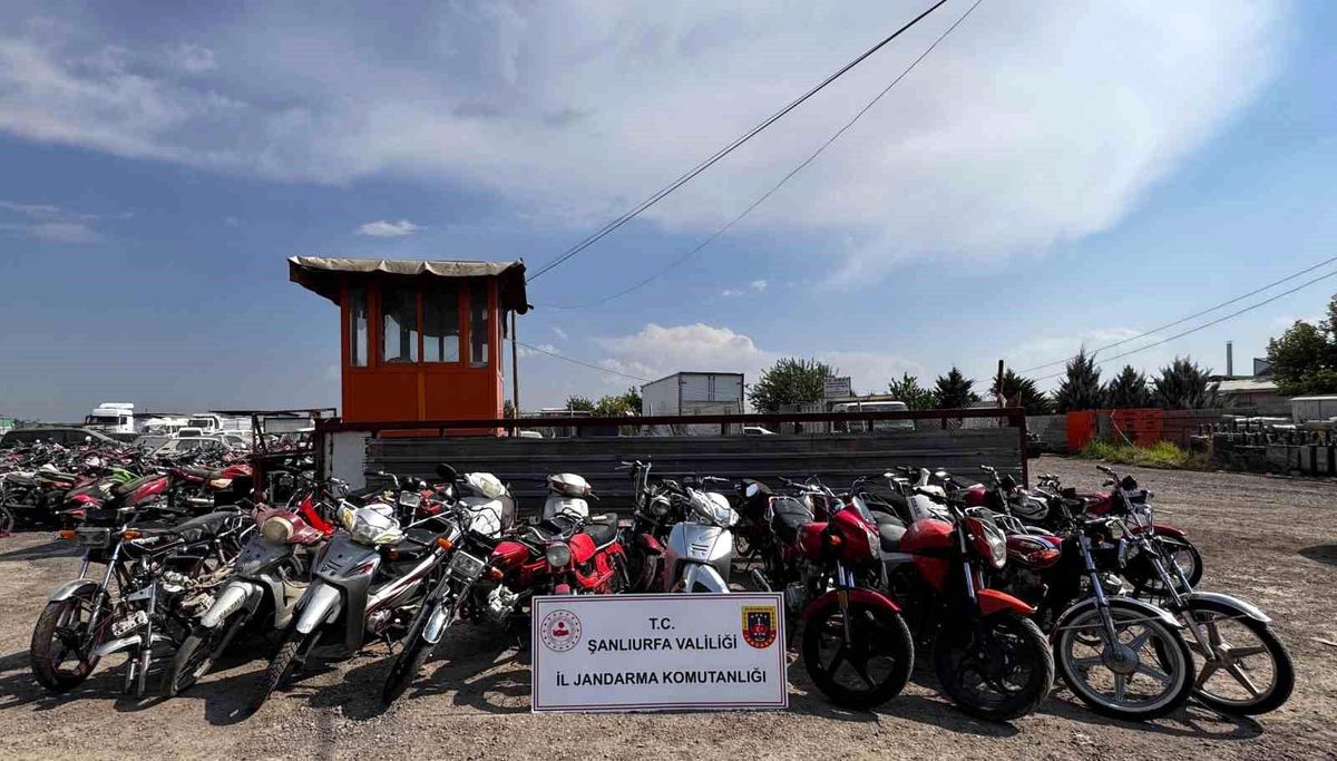 Şanlıurfa'da Motosiklet Hırsızlığı Operasyonu: 35 Motosiklet Ele Geçirildi