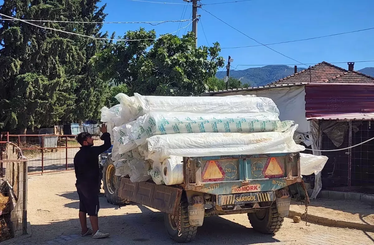 Sarıgöl Ovası'nda Üzümler İçin Koruma Örtüleri Seriliyor