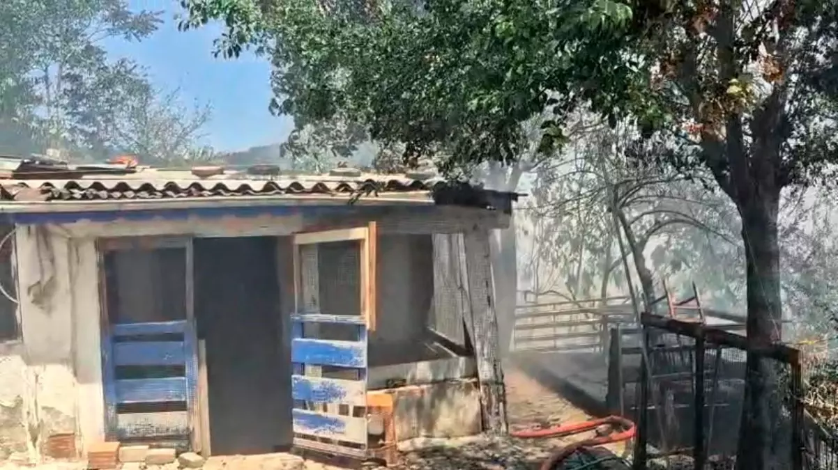 Sultangazi'de Otluk Alanda Çıkan Yangın İki Gecekonduyu Sıçrattı