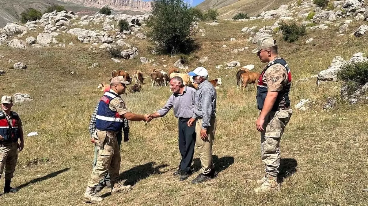 Kayıp 17 Büyükbaş Hayvan Jandarma Tarafından Bulundu