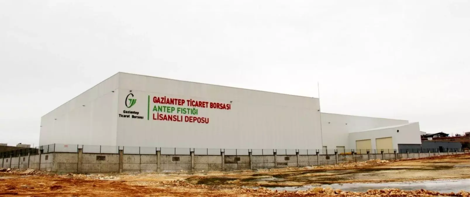 Gaziantep Fıstığı Lisanslı Deposu ile 2024 Sezonuna Güçlü Giriş